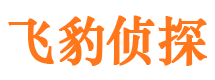 山阳找人公司